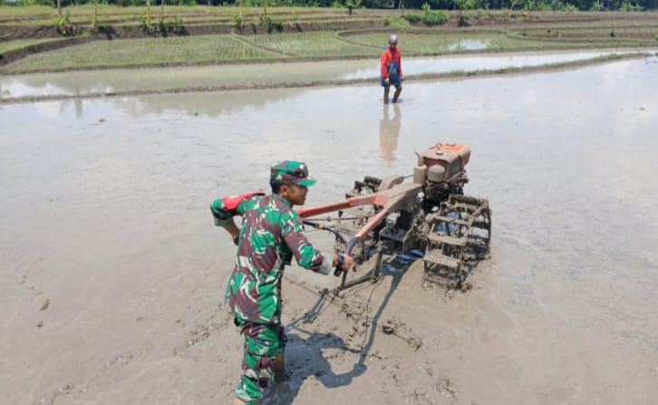 Babinsa Salamnunggal, Serda Dudu, Lakukan Pendampingan Pertanian di Kampung Rawa Badak