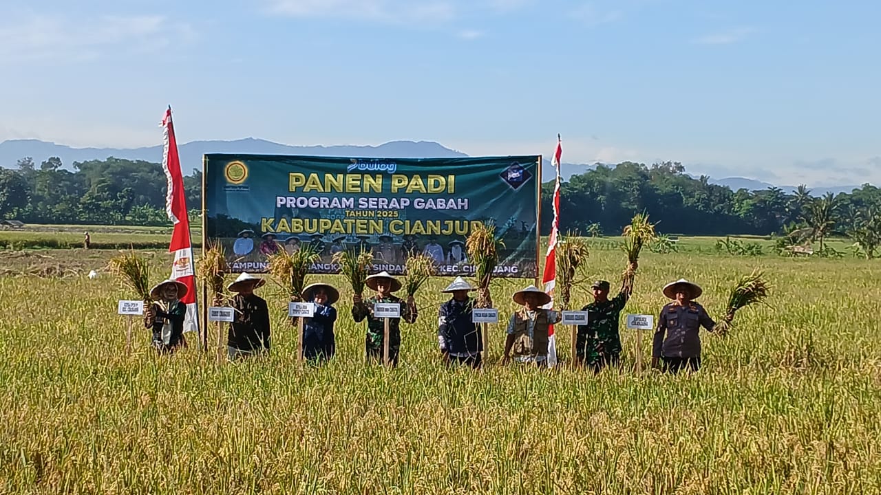 “Dandim 0608/Cjr, Letkol Kav Yerry Bagus Merdiyanto, Pimpin Panen Padi Program Serap Gabah di Ciranjang”