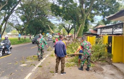 Babinsa Desa Kertamukti Awasi Penebangan Ranting Pohon di Kampung Malereng