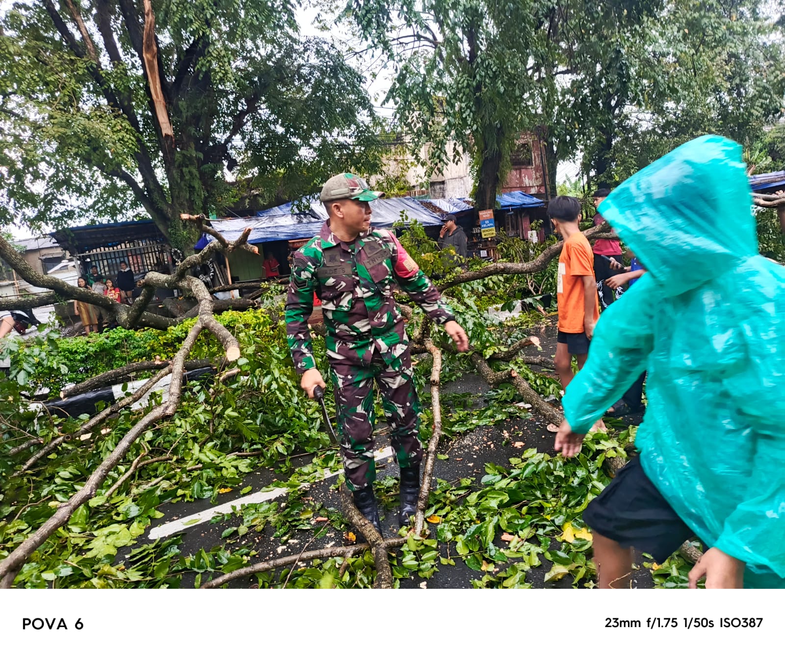 Sertu Ade Suryana Sigap Evakuasi Pohon Tumbang di Jalan Raya Cianjur