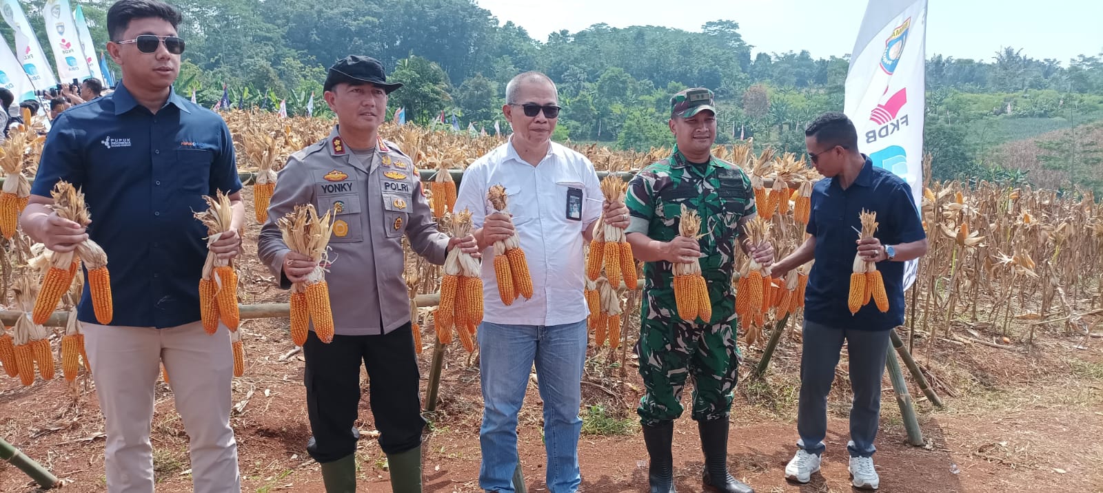 Panen Raya Jagung Hibrida FKDB oleh Kabaharkam Mabes Polri di Wilayah Kab. Cianjur