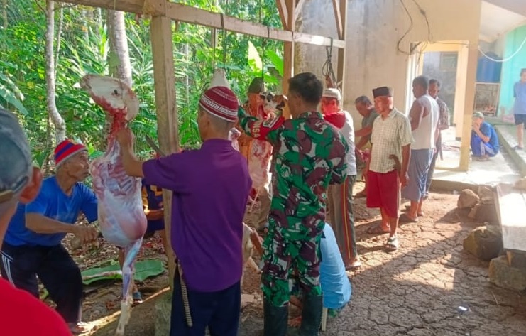 BABINSA DESA KARANGSARI MONITORING PENYEMBELIHAN HEWAN KURBAN IDUL ADHA 1446 HIJRIYAH
