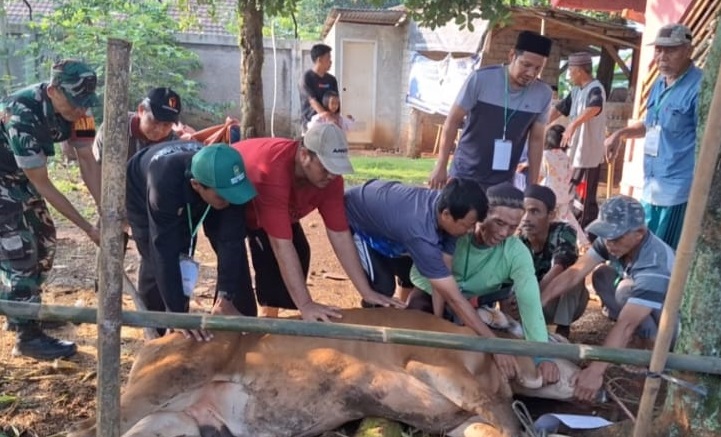 SERTU SURYADI MONITORING PENYEMBELIHAN HEWAN KURBAN