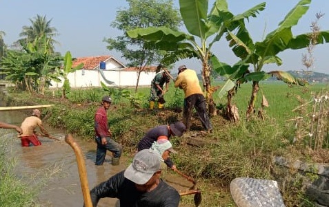 BABINSA DESA HAURWANGI SERMA HERMAN LAKSANAKAN KARYA BAKTI PEMBERSIHAN SUNGAI IRIGASI