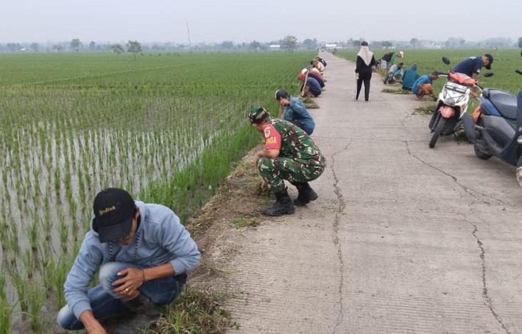 KARYA BAKTI BABINSA DESA NEGLASARI: MEMBERSIHKAN JALAN DAN PARIT UNTUK KEMUDAHAN WARGA