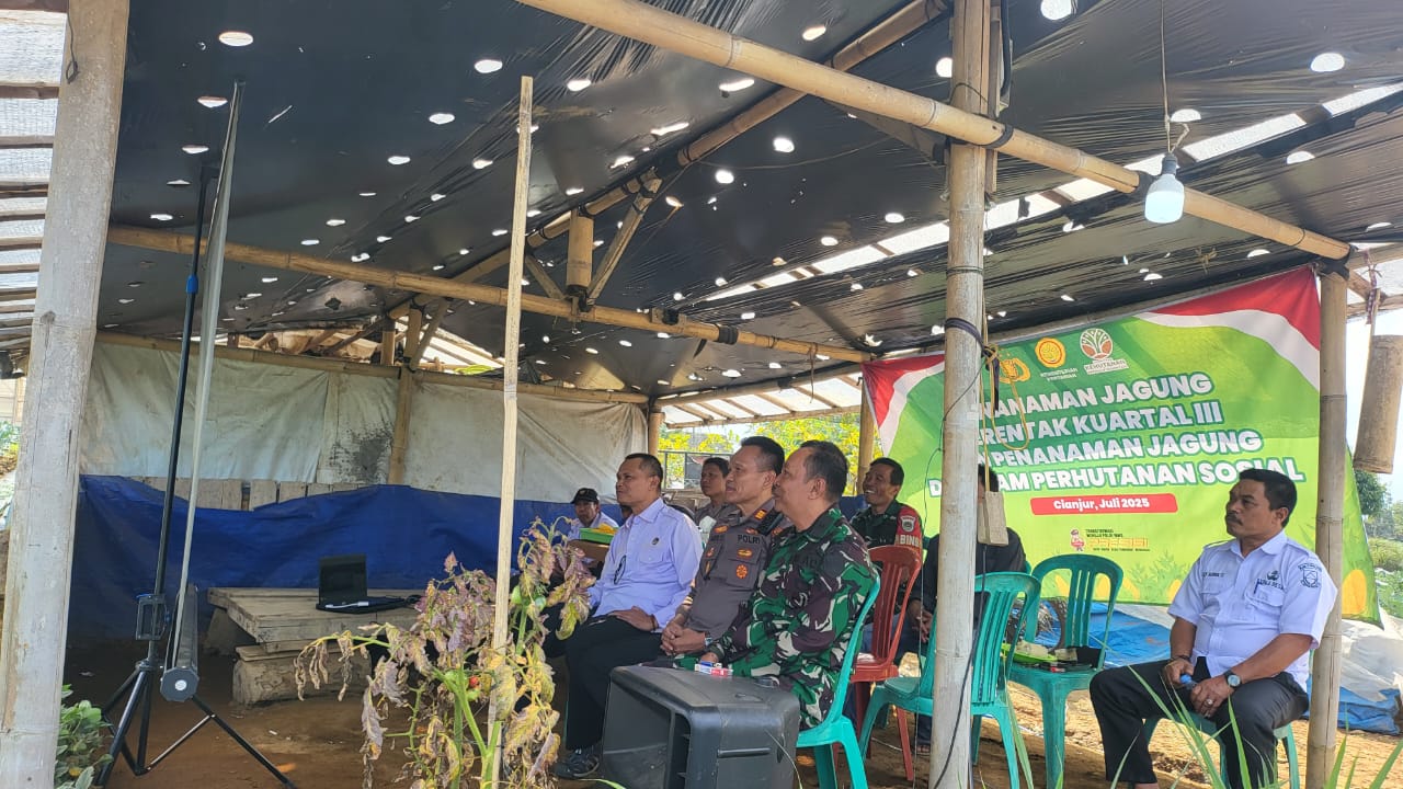DANRAMIL 04/CIPANAS MENGIKUTI KEGIATAN PENANAMAN JAGUNG SERENTAK KUARTAL III DI DESA CIHERANG