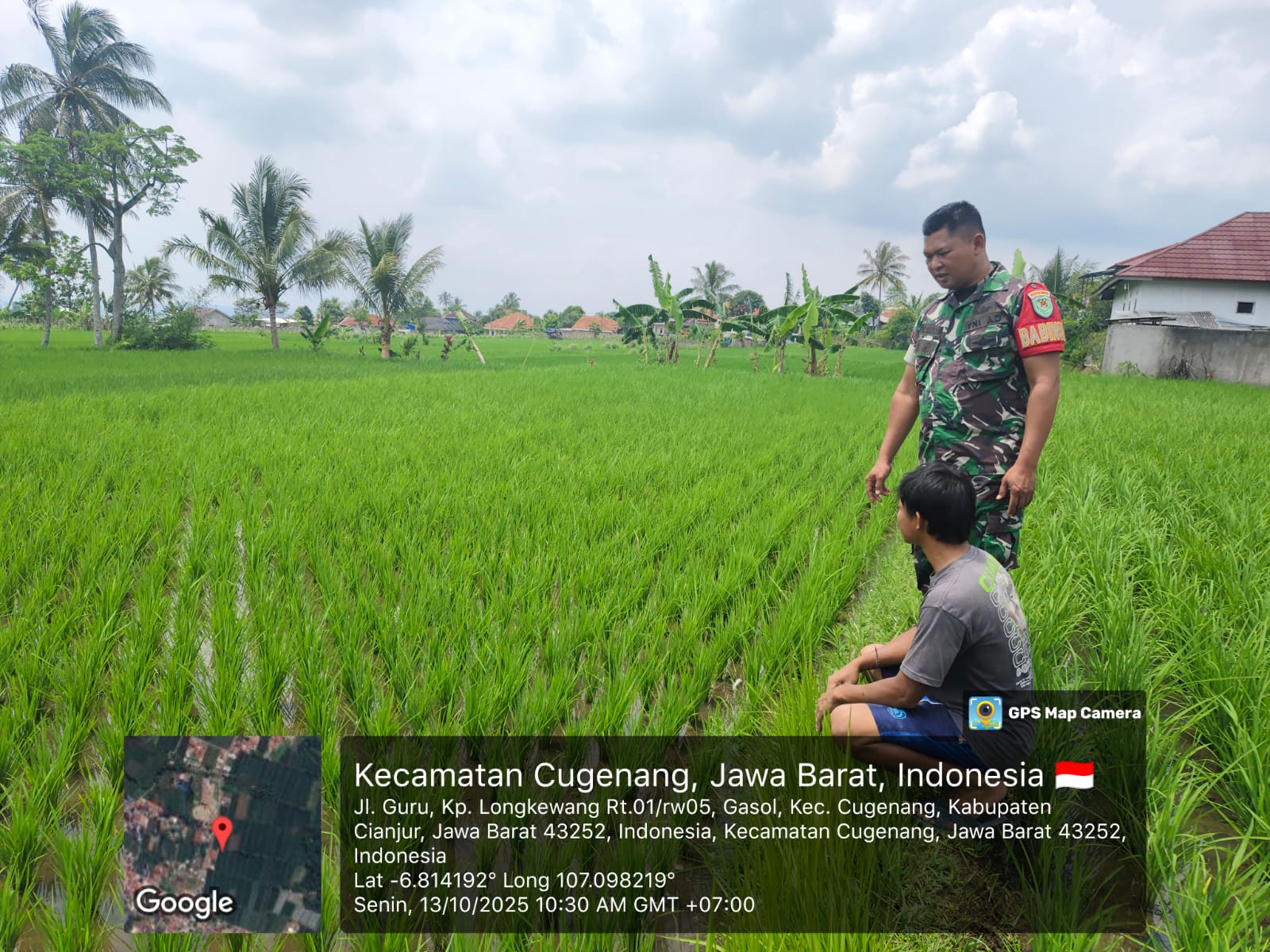 Babinsa Desa Gasol Dampingi Petani, Pastikan Pertumbuhan Padi ‘sintanur’ Berjalan Optimal