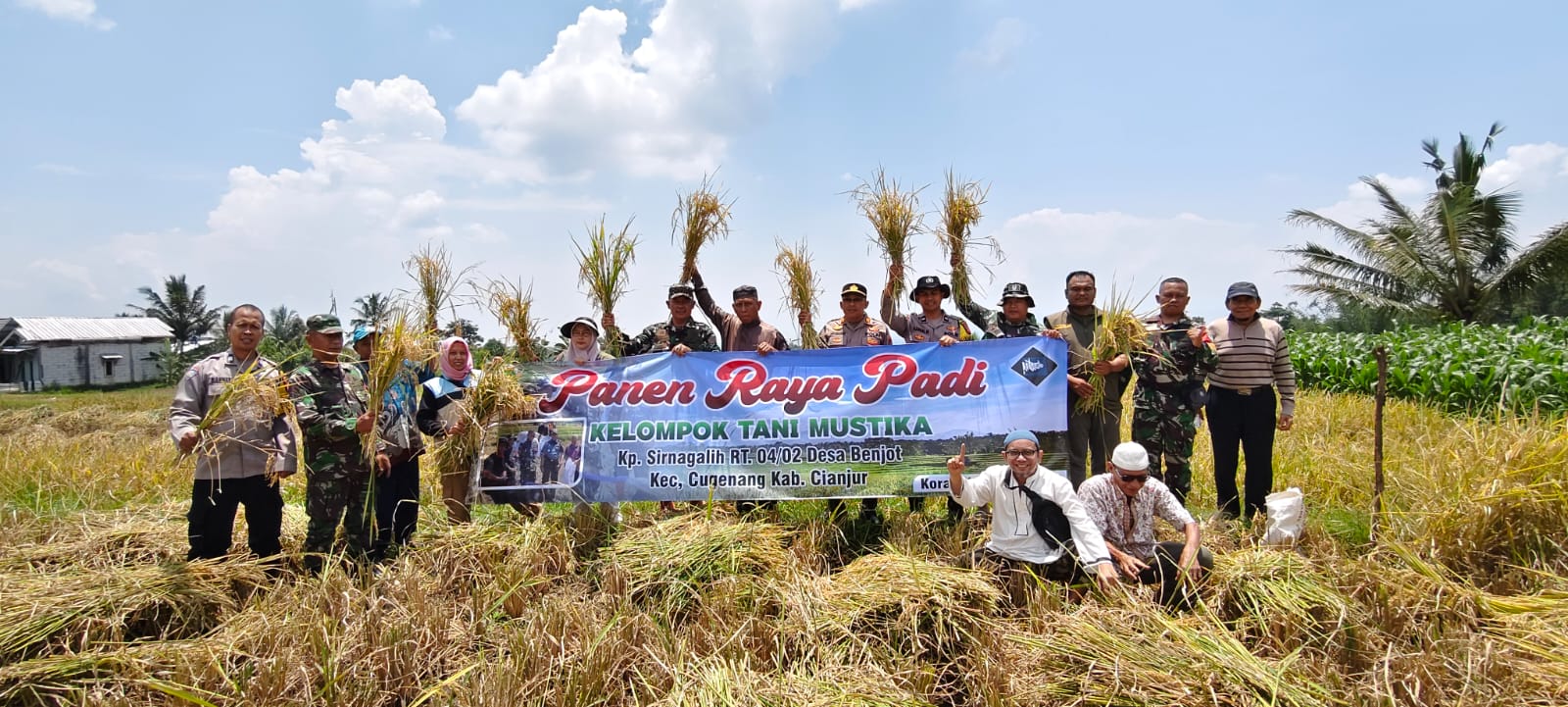 Danramil Cugenang Kapten Arm Suhardi, S.E. Pimpin Panen Padi di Ponpes Baitul Qur’an Alkarim, Perkuat Ketahanan Pangan Nasional