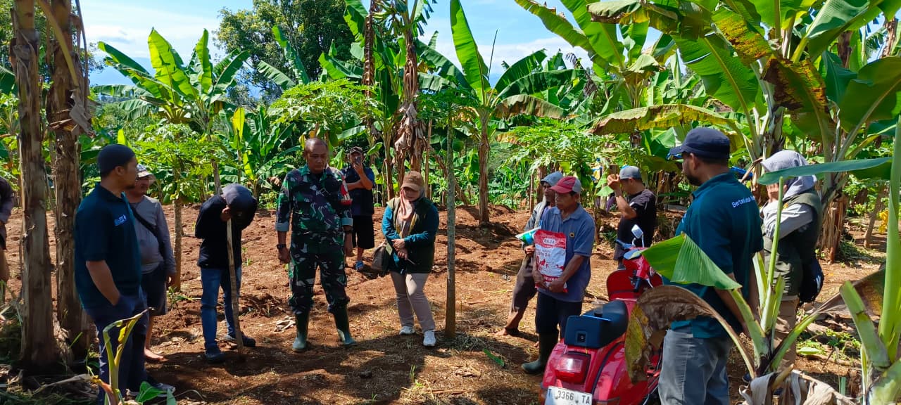 Dukung Ketahanan Pangan, Sertu Tato Dampingi Penanaman Padi Gogo 10 Hektar di Cugenang