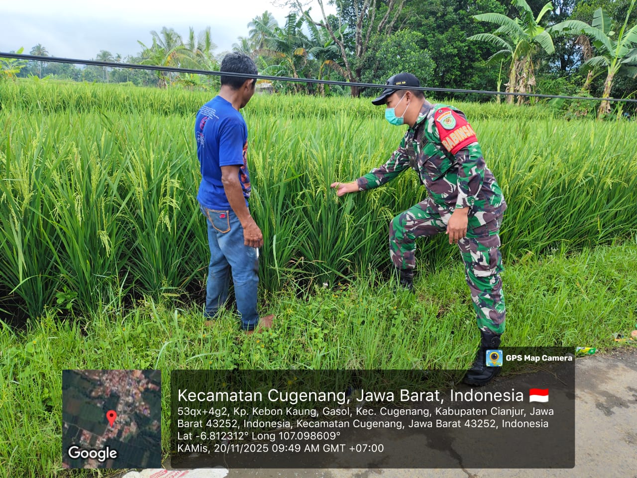 Koptu Joko Santoso Dampingi Petani Kontrol Padi Varietas Shinta Nur