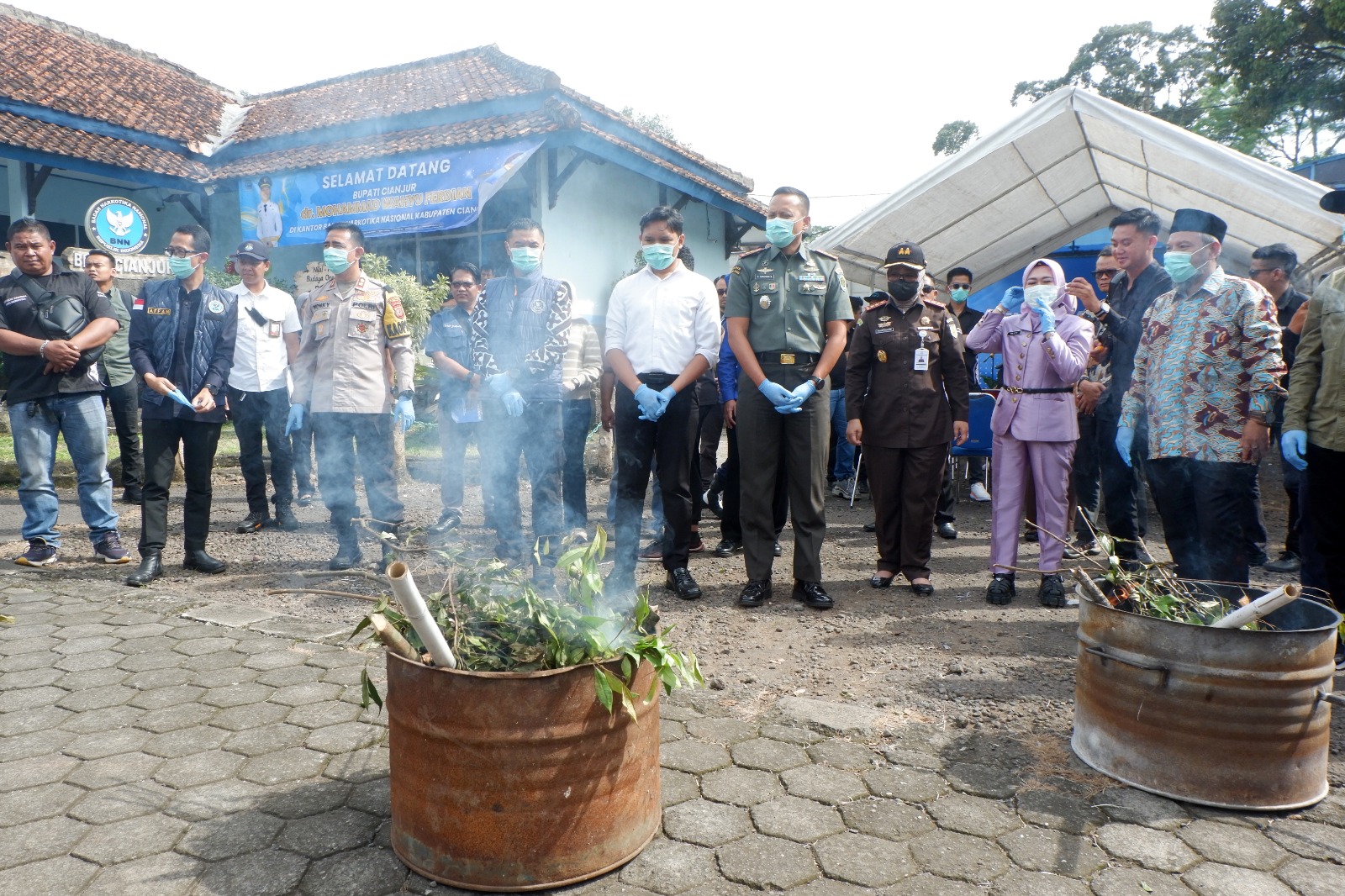 Komitmen Berantas Narkoba, Dandim 0608/Cianjur Kawal Pemusnahan 75 Batang Tanaman Katinon