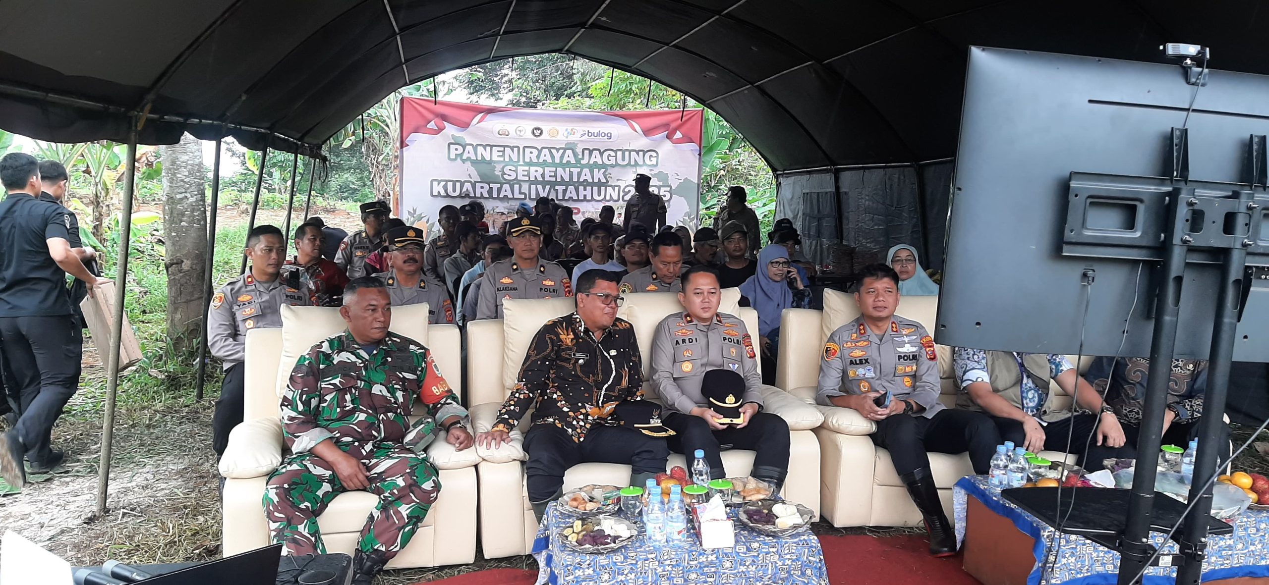 Dukung Ketahanan Pangan, Pelda Panca Hadiri Panen Raya Jagung Polres Cianjur di Babakan Karet