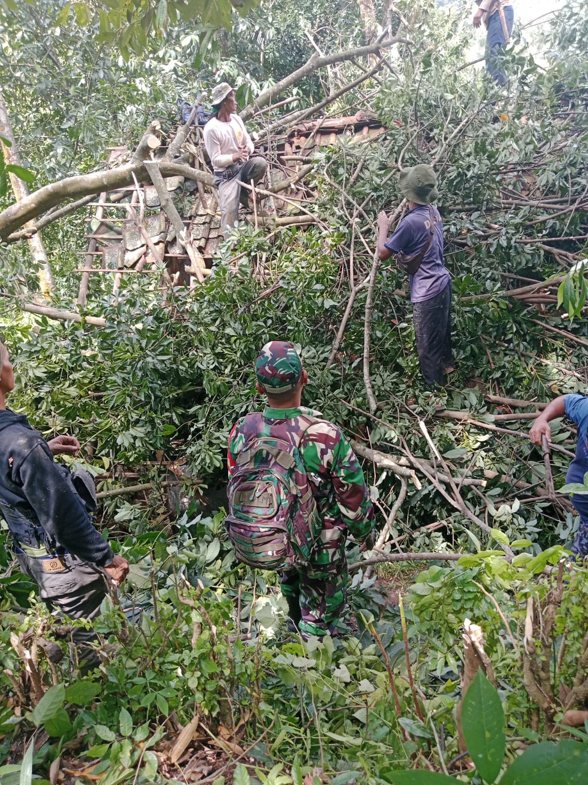 Hujan Angin Terjang Kecamatan Mande, Serda Dodi Muharam Pimpin Evakuasi Rumah Warga yang Tertimpa Pohon