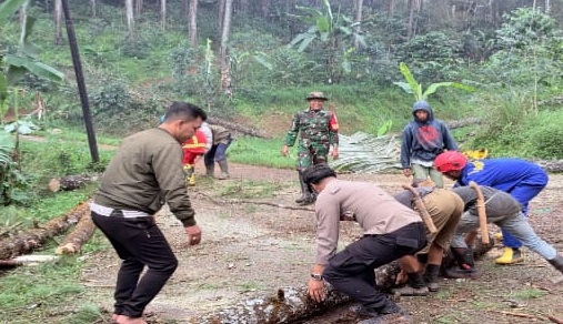 Sigap Bencana, Babinsa Sukamekar dan Bhabinkamtibmas Evakuasi Pohon Tumbang