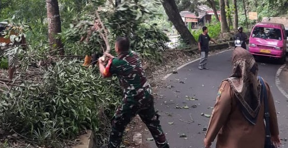 Gerak Cepat Pelda Endang Diman Bersama Warga Atasi Pohon Tumbang di Jalan Raya Mangunkerta