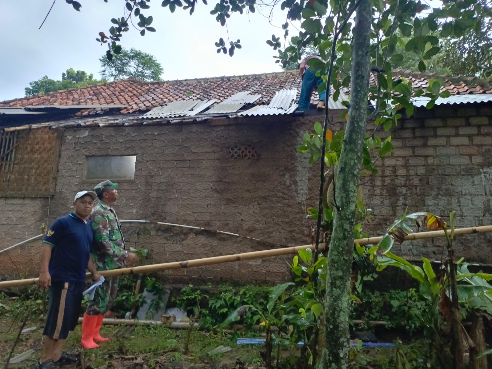 Angin Puting Beliung Terjang Desa Sindangsari, Pelda Panca Gerak Cepat Pimpin Pengecekan Lokasi
